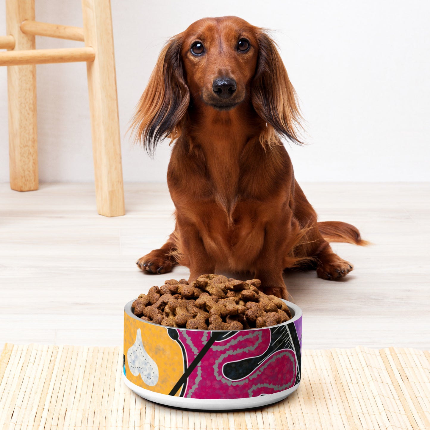 Pet bowl